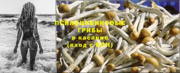 бошки Надым