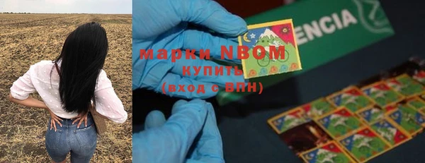 бошки Надым