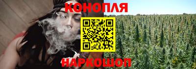 гидра Лесосибирск