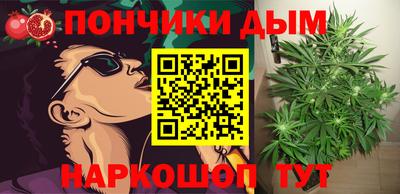 гидра Лесосибирск