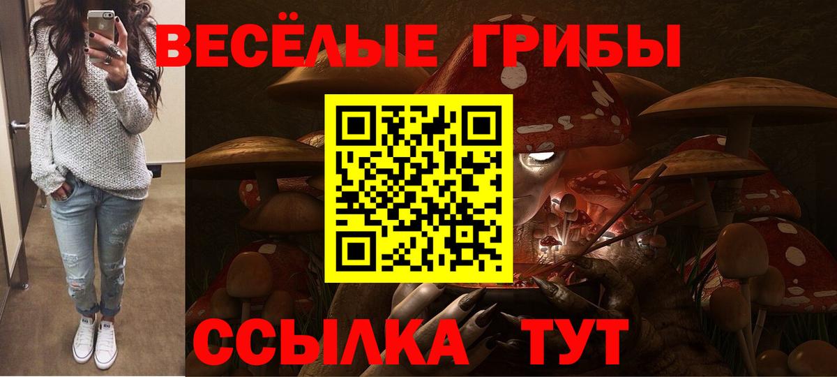 Галлюциногенные грибы MAGIC MUSHROOMS Новосибирск