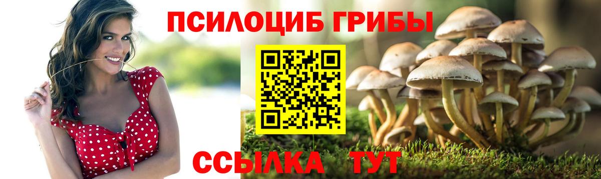 Псилоцибиновые грибы Cubensis  Галлюциногенные грибы мухоморы  Новосибирск  Вход с VPN 